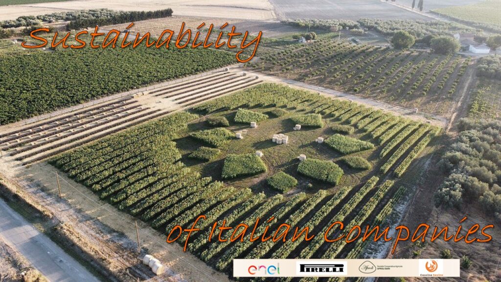 Towards a sustainable economy: Italy between innovation and tradition